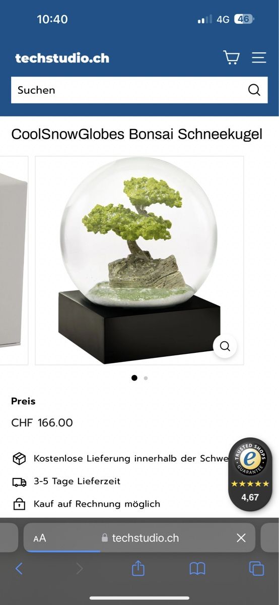 Tutte le decorazioni: Schneekugel Bonsai Baum CoolSnowGlobes – Nuovo (secondo la descrizione) da Luzern venduto da file_maker 1
