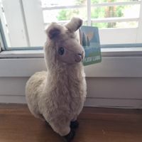 Sammelspass Lama coop Plüschtier