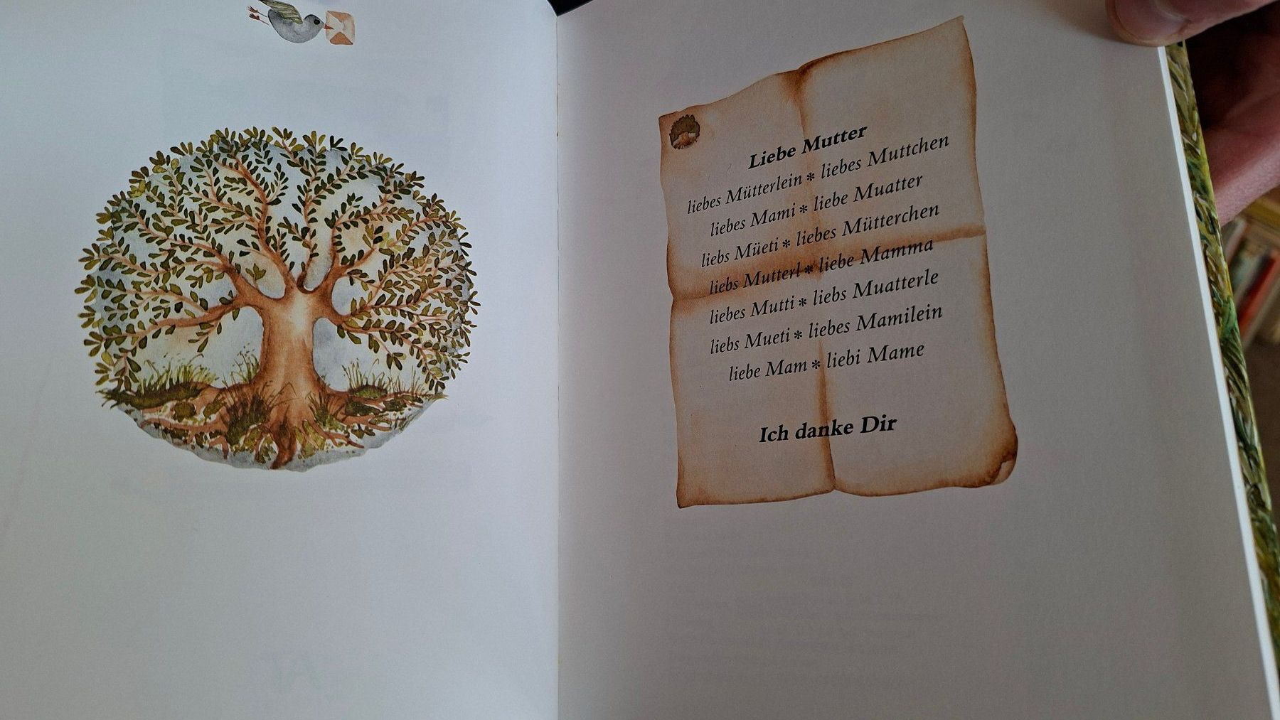 Libri: "Liebe Mutter, ich danke Dir" neu & OVP – Nuovo e nell'imballaggio originale da Dietikon venduto da Buchantiqdietikon 4