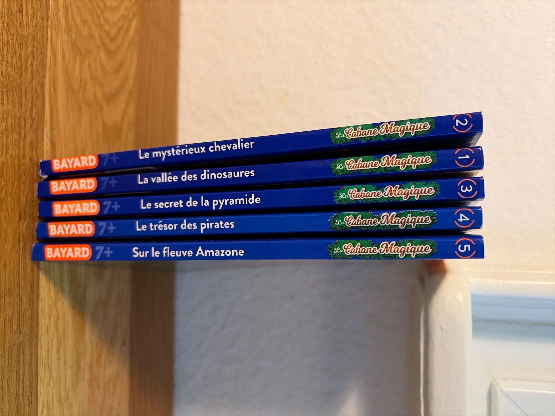 Libri: Livre cabane magique 1 a 5 – Usato da Lausanne venduto da aur_cxg5 1