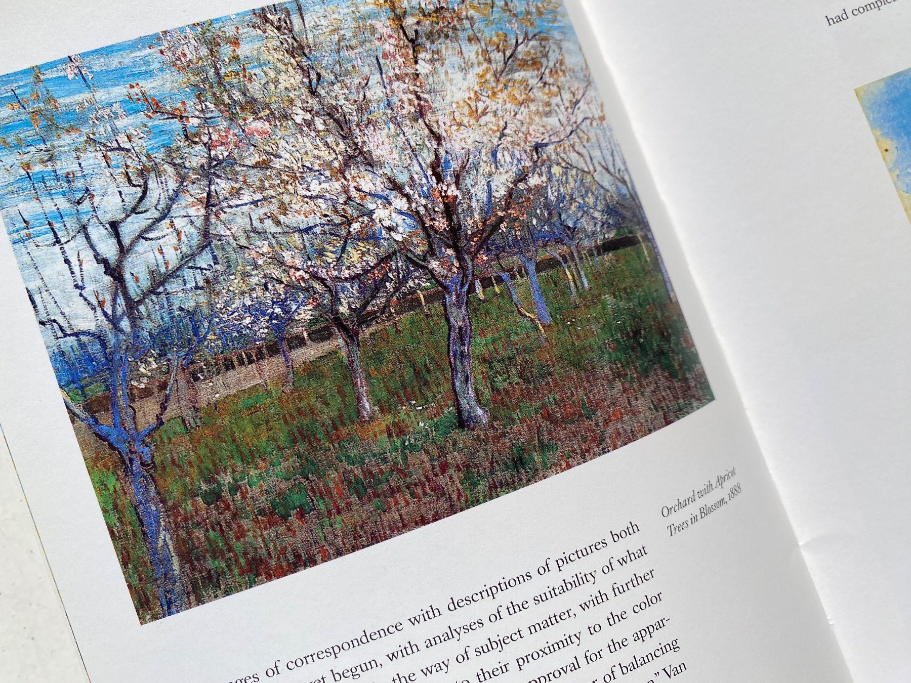 Bücher: VAN GOGH IN ARLES. Gaugin. Munch. Monet. Curiger – Gebraucht aus Zürich von lesgarcons 3