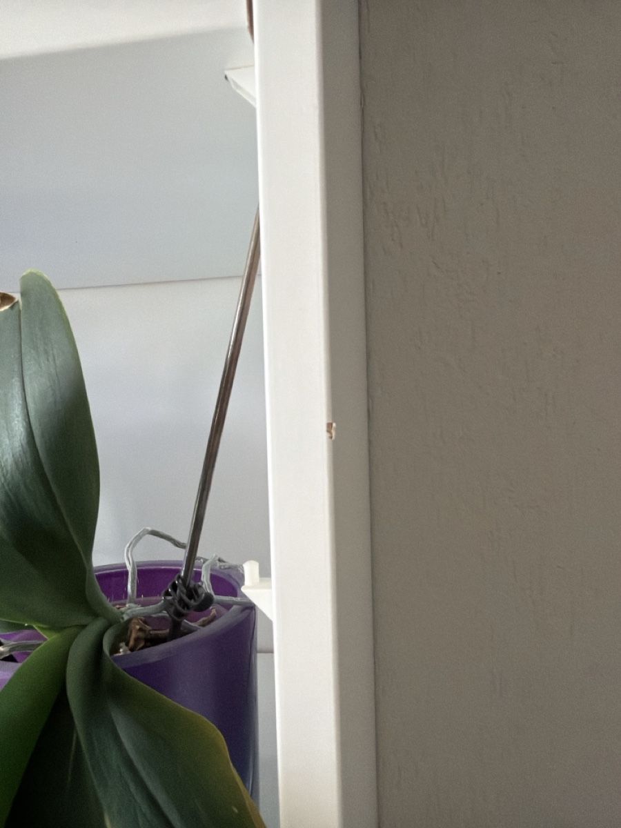 Ikea Regale: IKEA Pax mit Komplement Schubladen – Gebraucht aus Oberrohrdorf von Mariann79 6