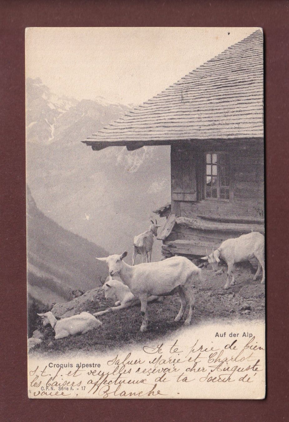 Cartoline postali: AUF DER ALP - Ziege - 1909 – Usato da Pully venduto da nicecards-shop