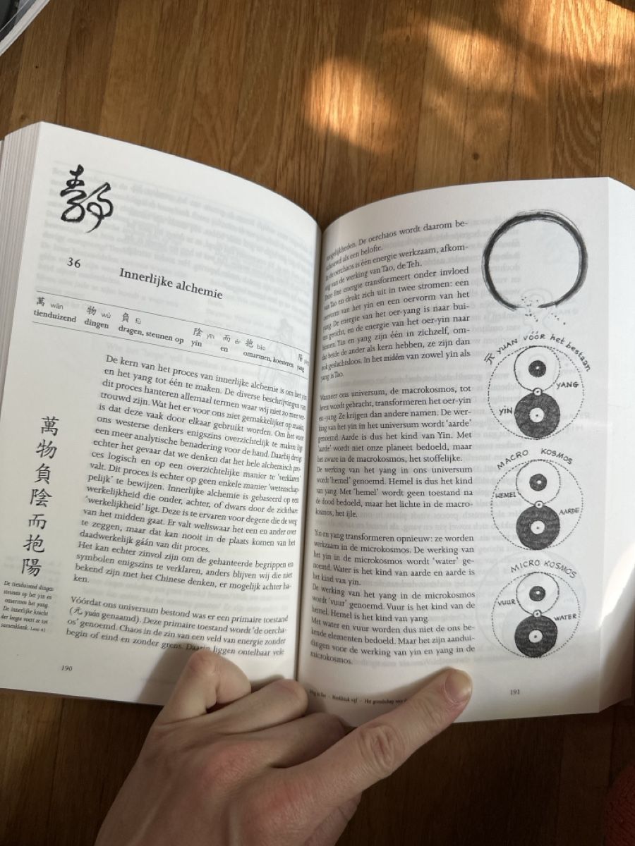 Libri: Weg in Tao niederländisch – Nuovo e nell'imballaggio originale da Bülach venduto da and_ck9q 1
