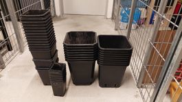 Grosses Set quadratischer Pflanztöpfe aus Kunststoff (versch