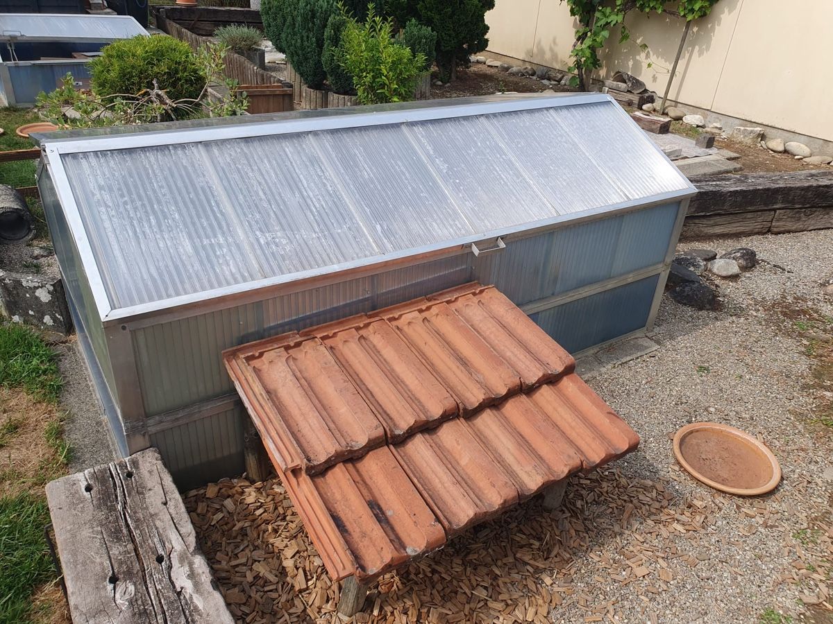 Cabanes de jardin & serres: Schildkrötenhütte – D'occasion à Vordemwald par yan_hh6b 2