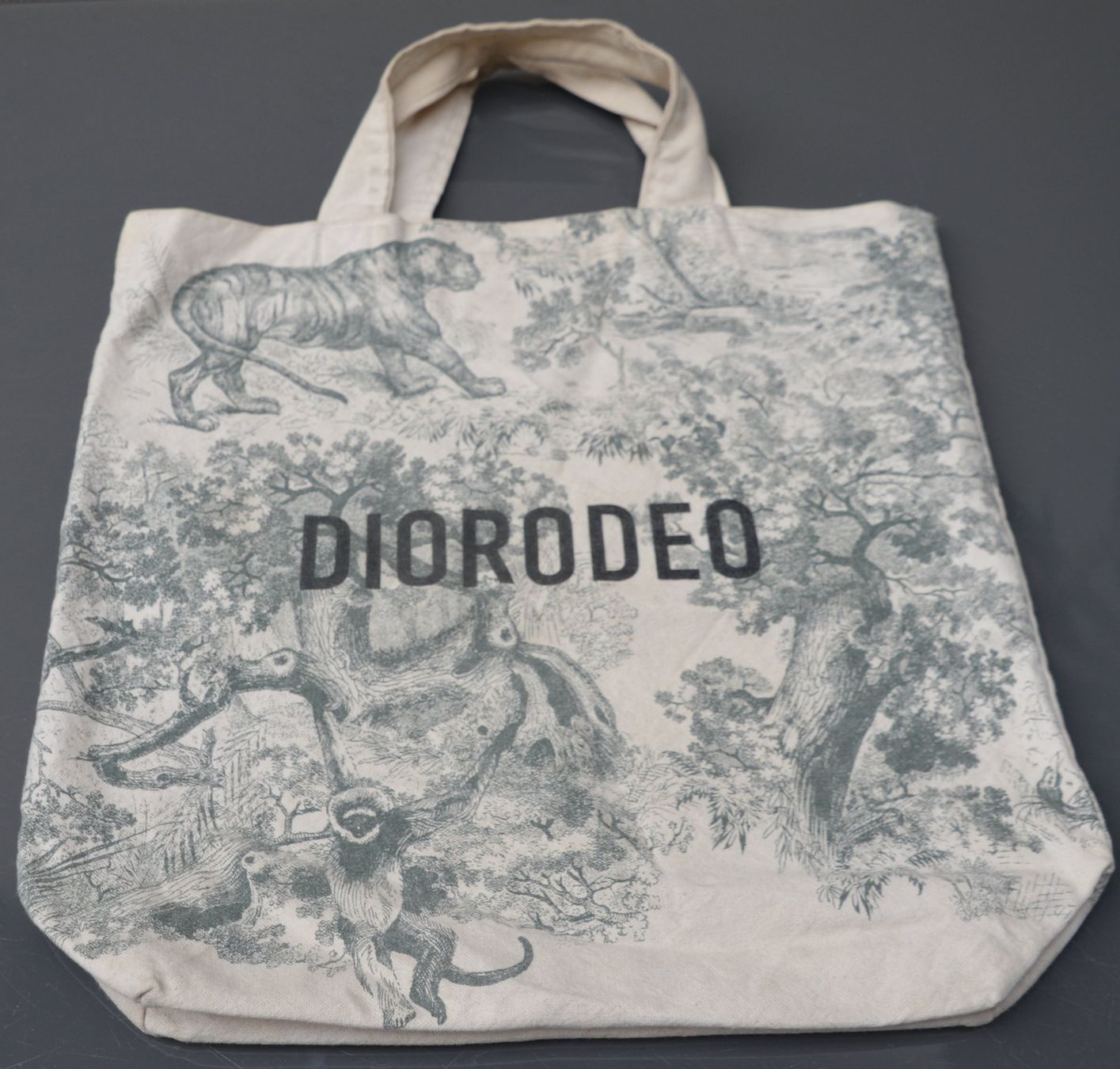 Dior Borse: Christian Dior Diorodeo Tote Tasche / sac – Usato da Collonges venduto da Auganien 3