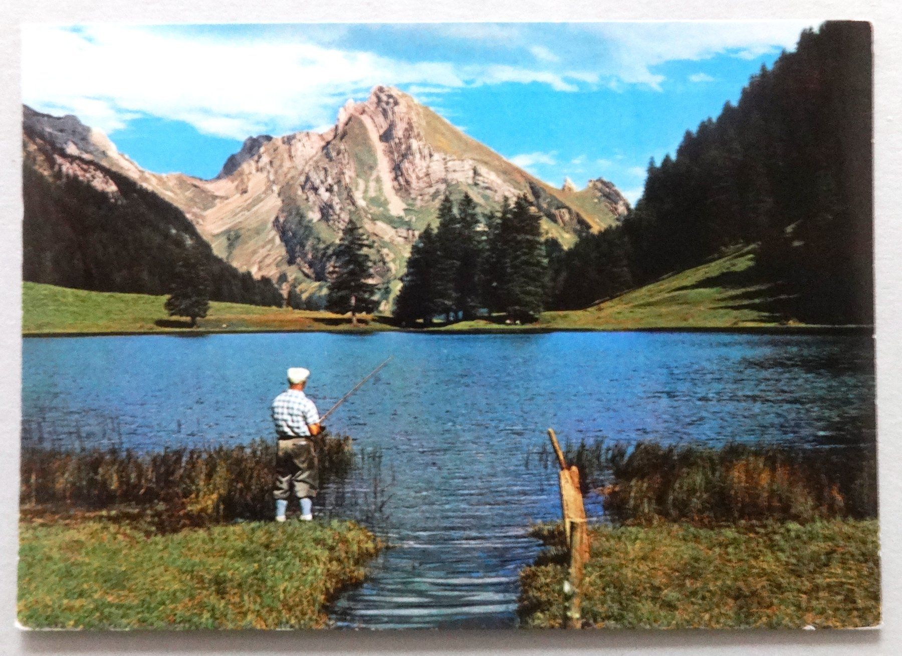 Cartoline postali: Gräppelensee mit Schafberg – Usato da Fétigny venduto da Billy2miny