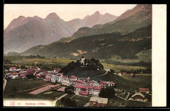 Cartes postales: AK Château d'Oex, Panorama – D'occasion à Berlin par bartko-reher