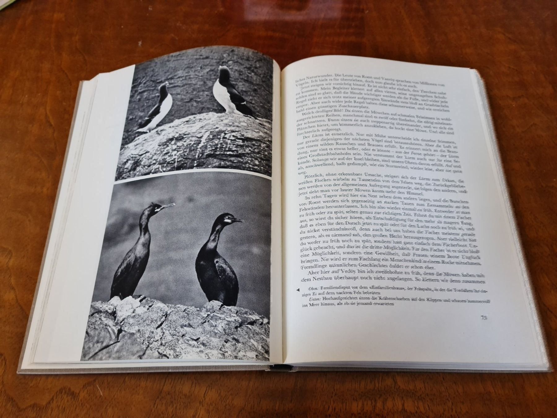 Bücher: Unter dem Polarkreis – Gebraucht aus Erstfeld von Uhu1980 2