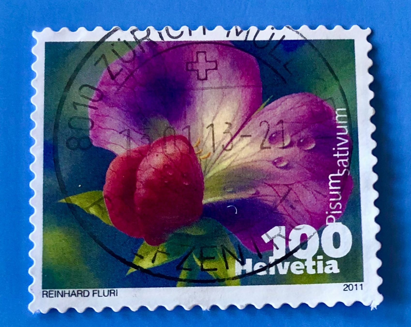 Tutti i francobolli: Nr.1377 mit gestempelt Zucchini 2011    – Usato da Aarau venduto da Billa007