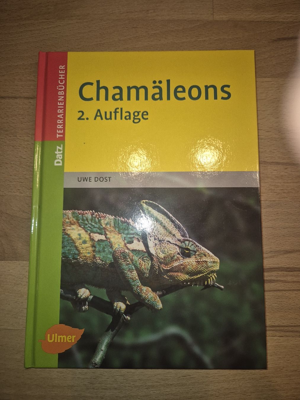 Libri: Chamäleons Buch – Usato da Hochdorf venduto da MS46
