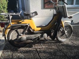 Im Auftrag Piaggio SI  Ex Post