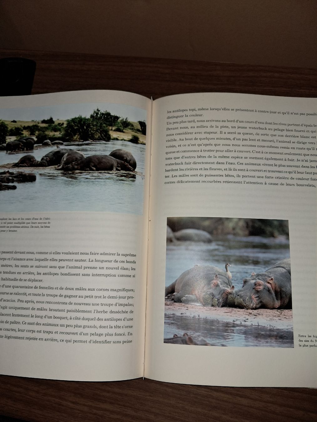 Libri: Livre le Congo mysterieux – Usato da Le locle venduto da juliensaran 1