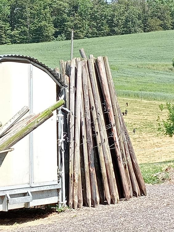 Gratis Holzpfähle 240cm | Kaufen auf Ricardo