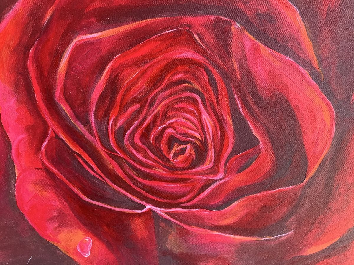 Dipinti: Rote Rose von Cletiu Radu - Clear – Usato da Hindelbank venduto da Scroki 3