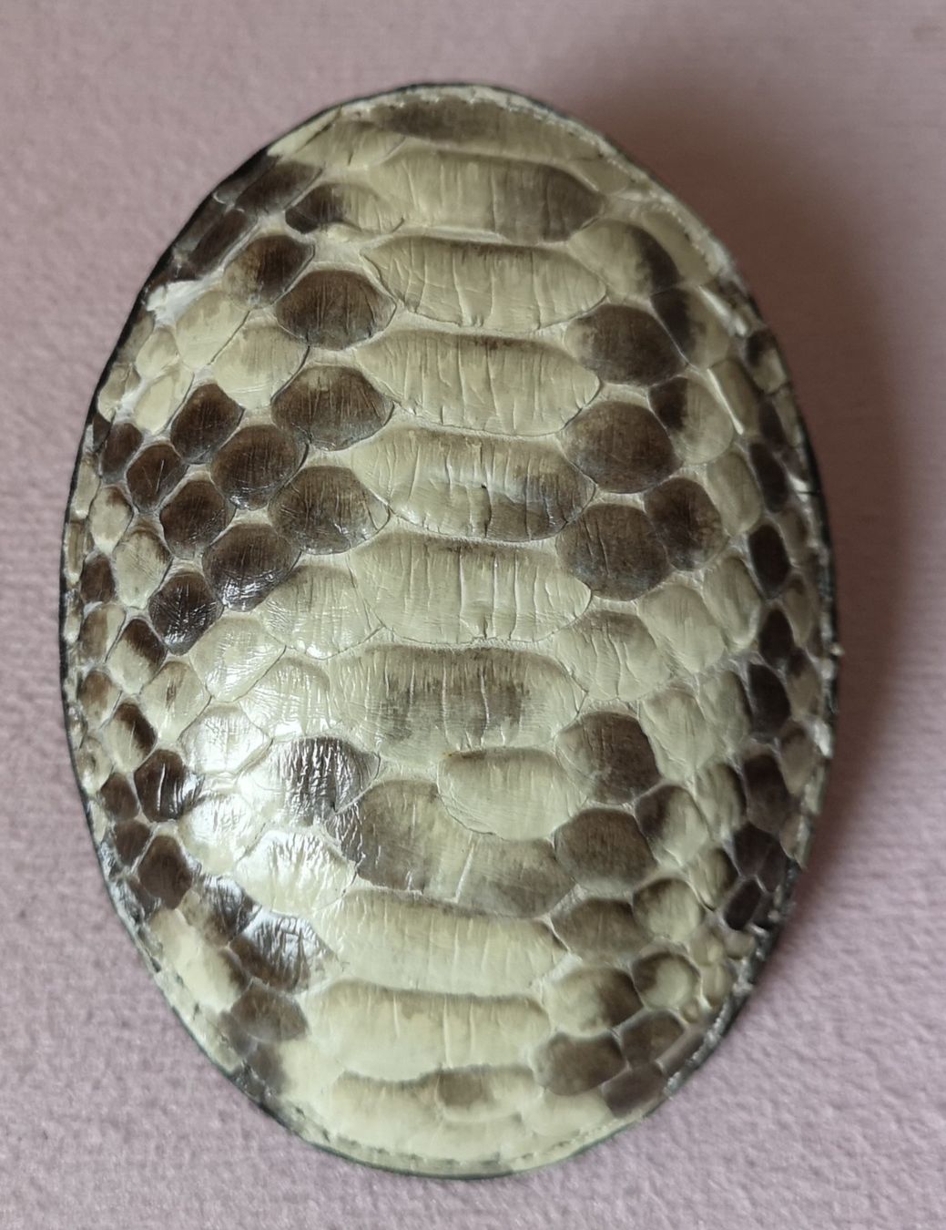 Fibbie per cinture: Ovale, konvexe Gürtelschnalle Schlangenhaut - Leder, Python – Usato da Zürich venduto da Tanteemma369 1