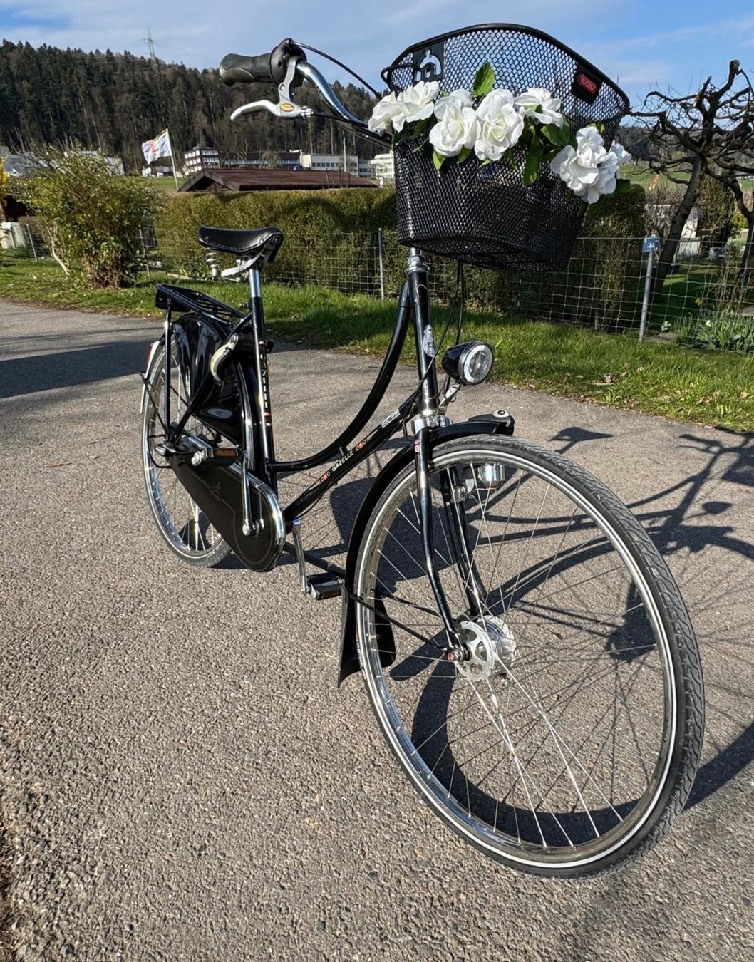 Biciclette: Gazelle Popular – Usato da Fällanden venduto da Caramel7 5