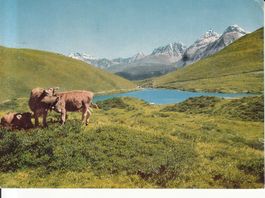 Schwellisee 1969