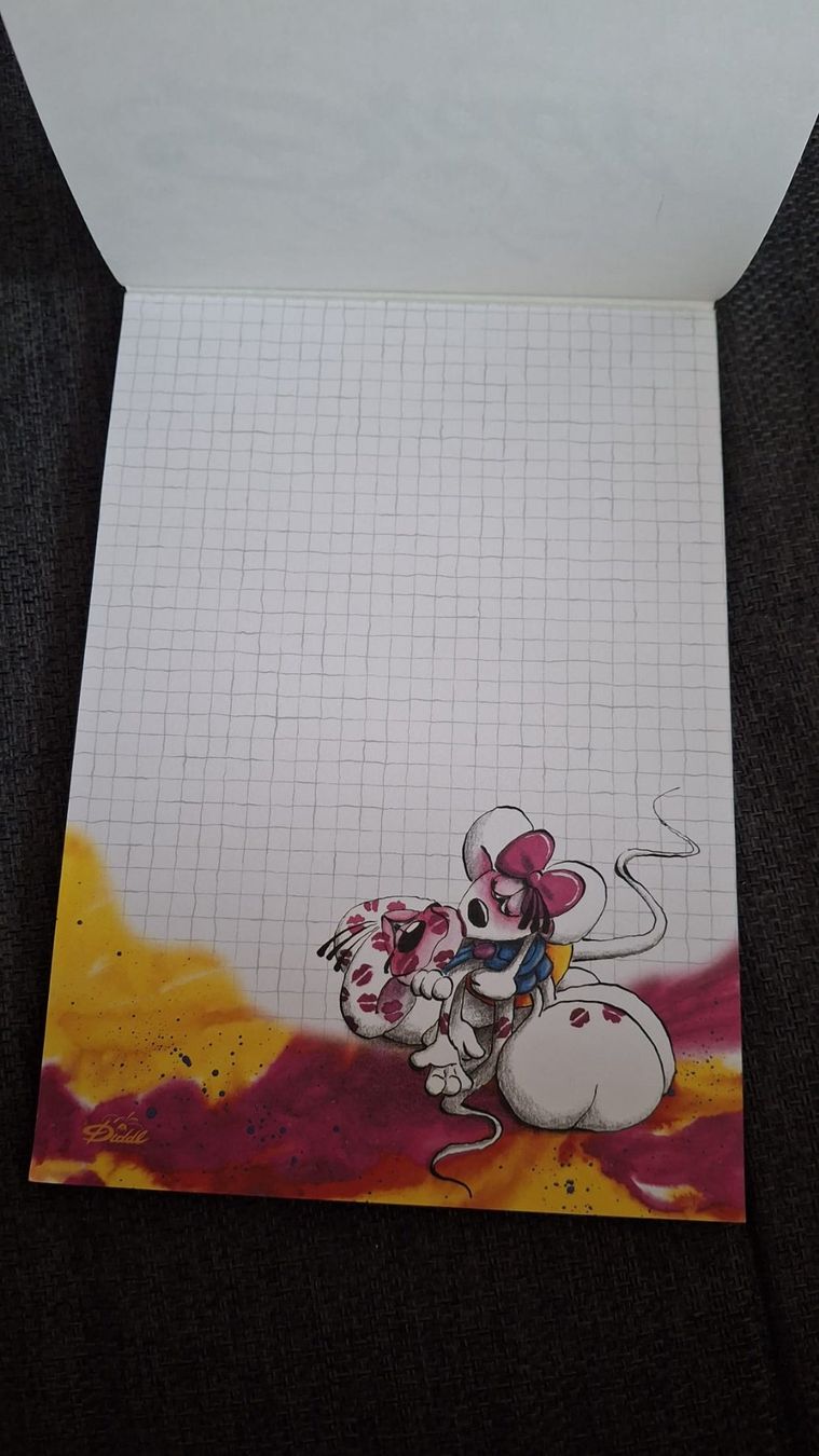 Blocs de correspondance: Diddl Block A5 – D'occasion à Wil SG par FionaSmile 1