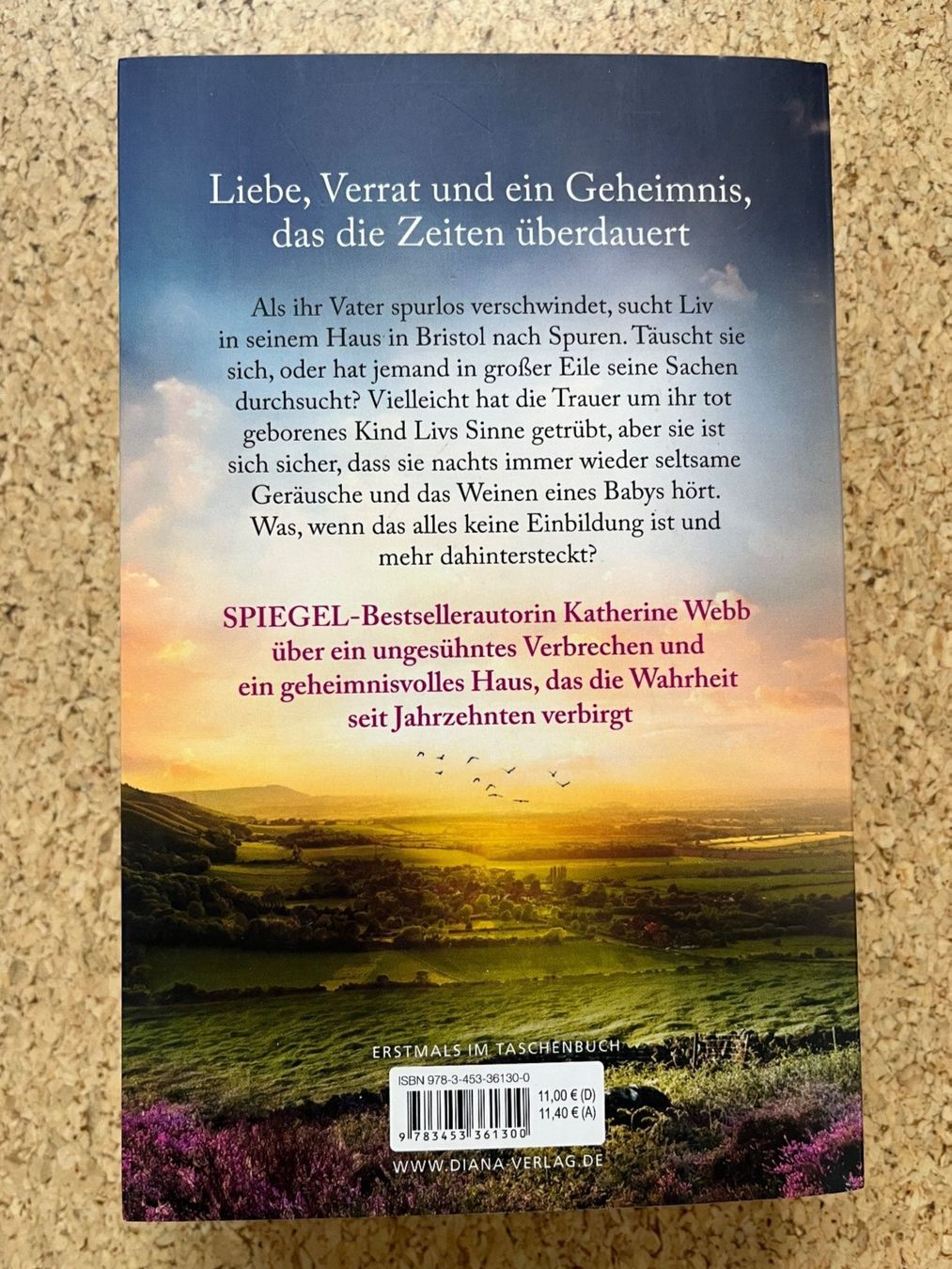 Libri: Taschenbuch "Besuch aus ferner Zeit", Katherine Webb – Nuovo (secondo la descrizione) da Grosswangen venduto da Vita500 1