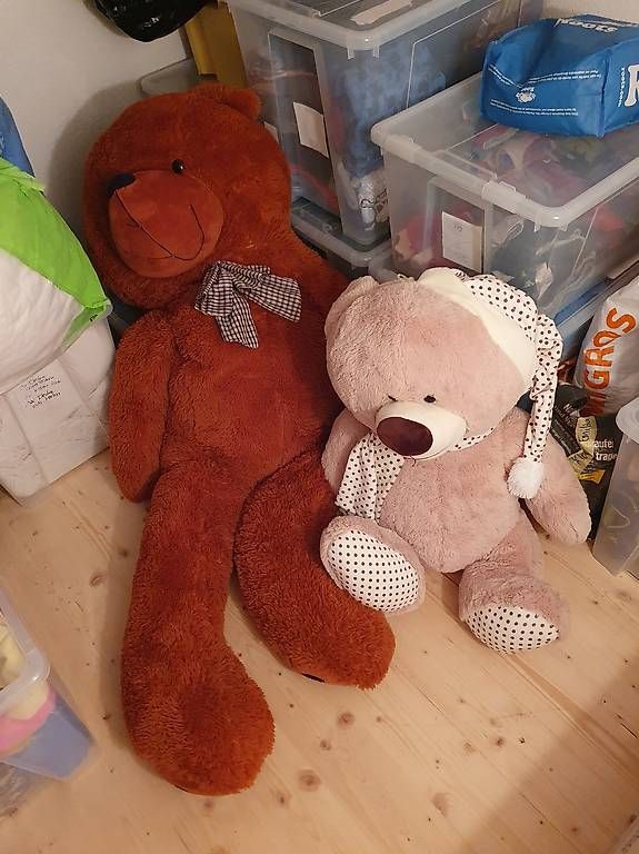 Spielzeuge: Grosse Kuschelbären – Gebraucht aus Grosswangen von Handballfee 1
