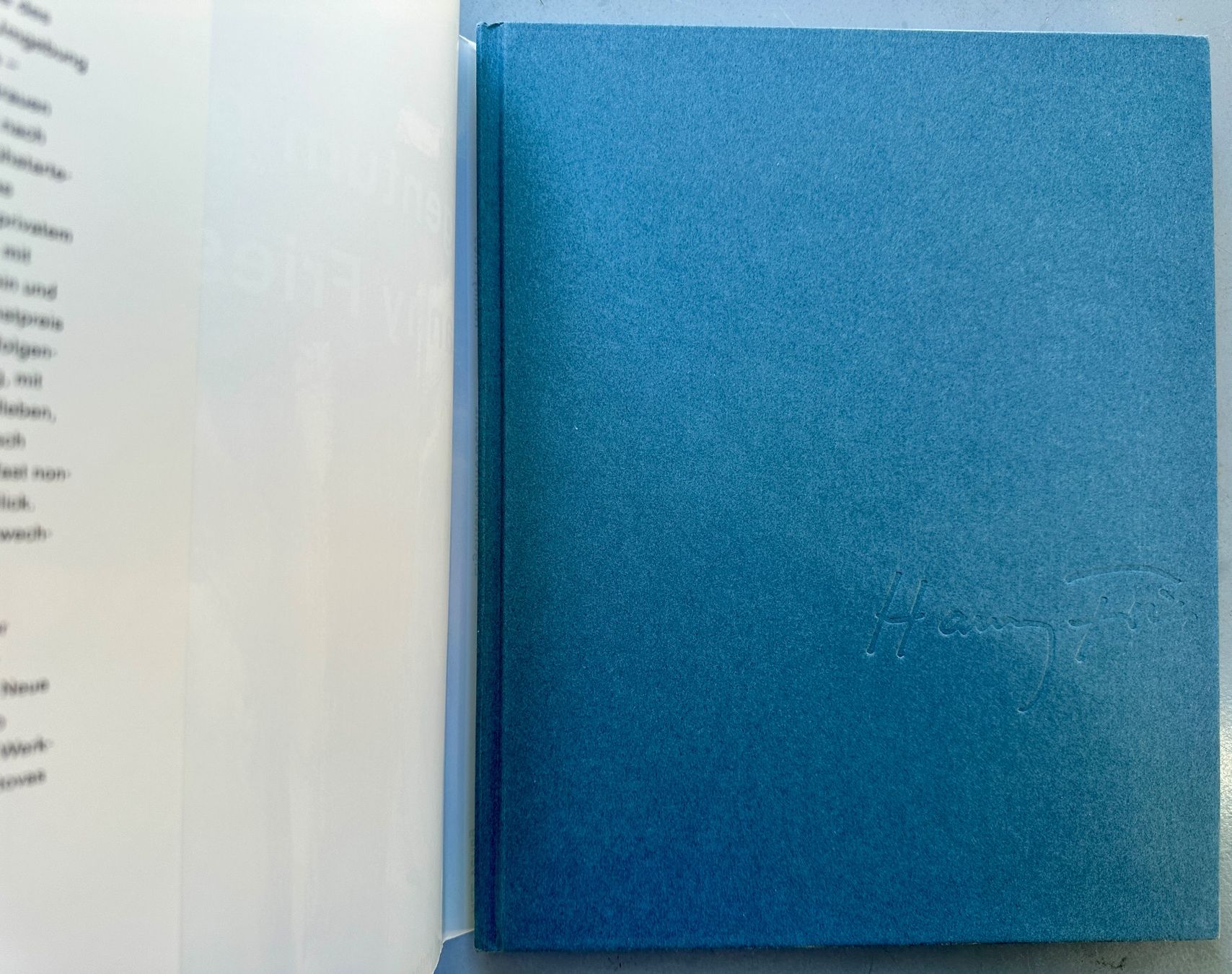 Libri: Hanny Fries: Eigentum ohne Besitz. Malerin. – Usato da Zürich venduto da allp 1
