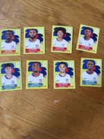 Panini 2026 8er Set USA
