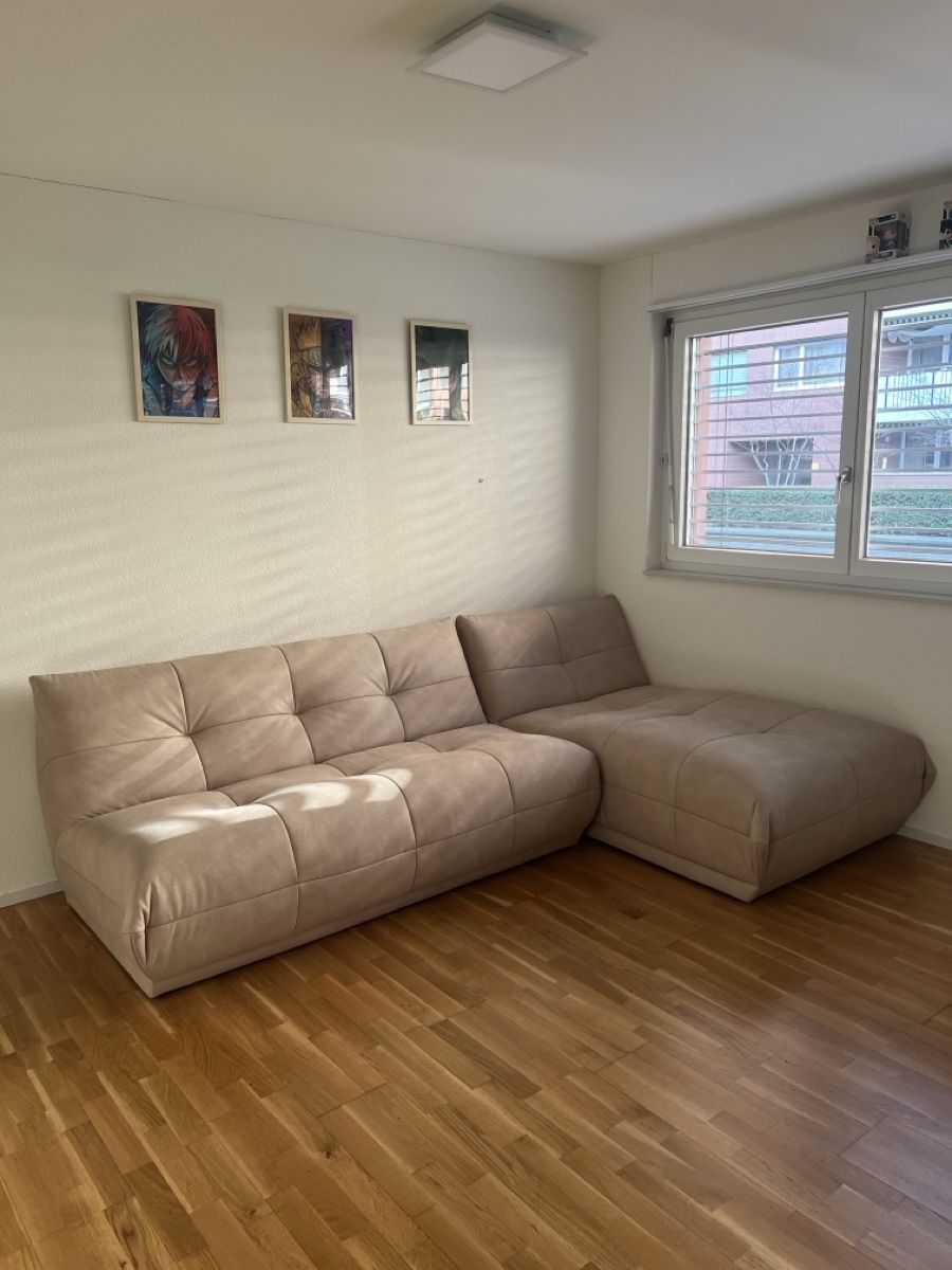 Divani: Sofa, Beige, Top Zustand  – Nuovo (secondo la descrizione) da Wallisellen venduto da manuthekid