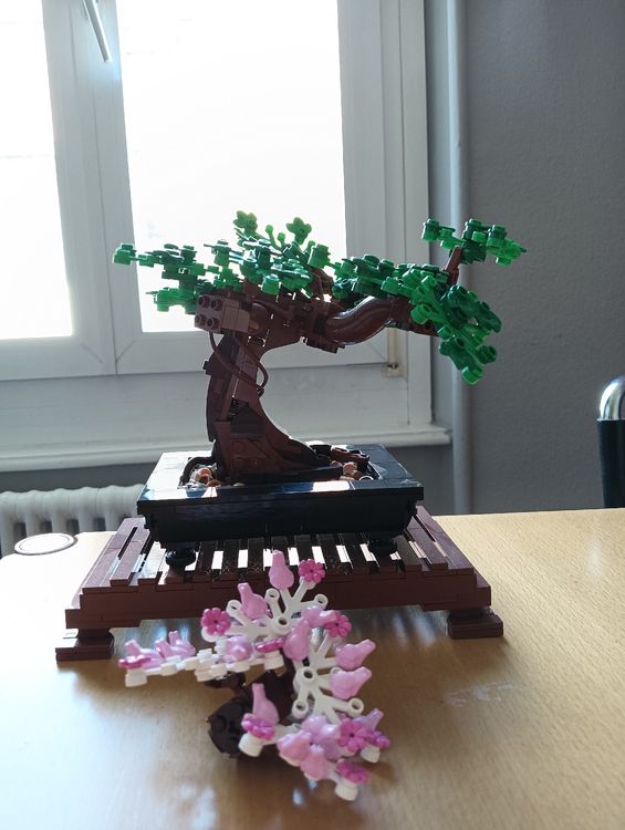 LEGO Botanicals Bonsai Baum Set für Erwachsene - Pflanzen Home Deko Set LEGO Botanicals Bonsai Baum Set für Erwachsene - Pflanzen Home Deko Set