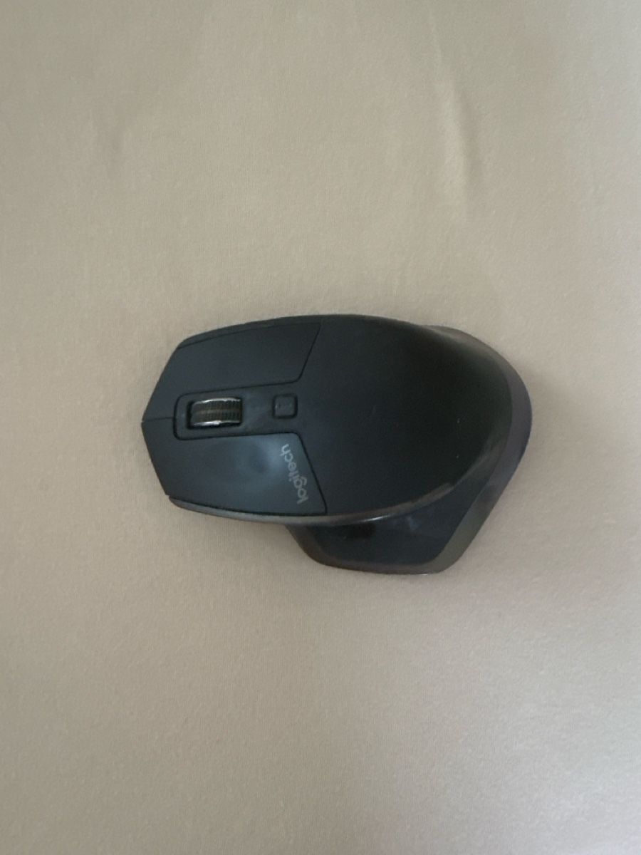Logitech Mouse: Logitech MX Master Maus – Usato da Bern venduto da fab_tx65