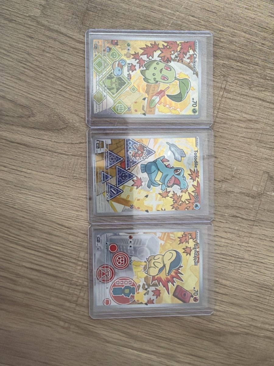 Pokémon Sammelbilder & Trading cards: Johto Starters EN  – Gebraucht aus Hagendorn von masterchieff