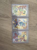Johto Starter Trio EN