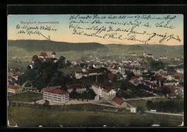AK Burgdorf, Gesamtansicht, 1913