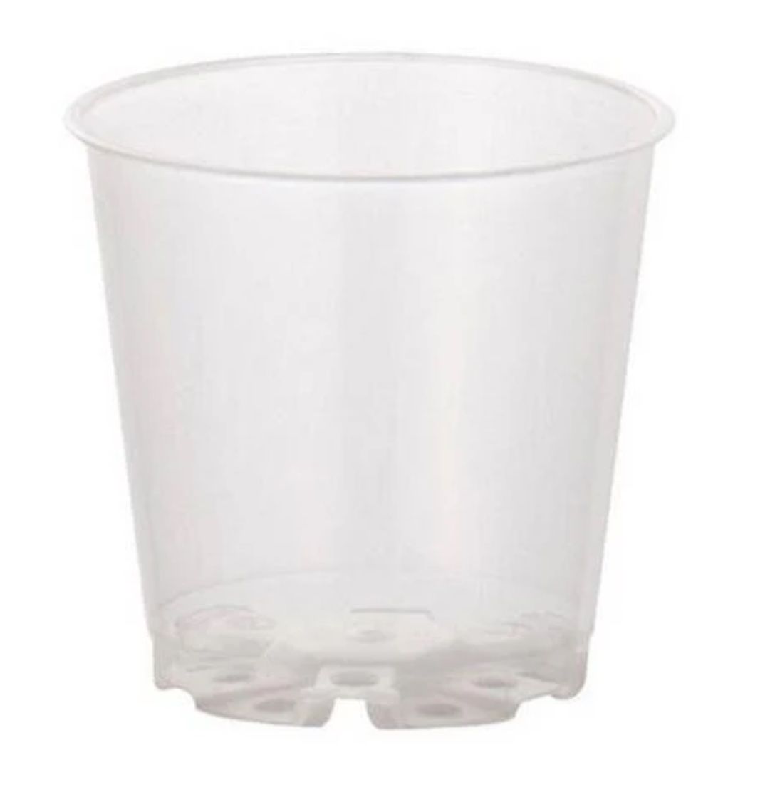 Blumentöpfe: 20× Transparente Töpfe Ø 6 cm – Gebraucht aus Zürich von Leafscape 1