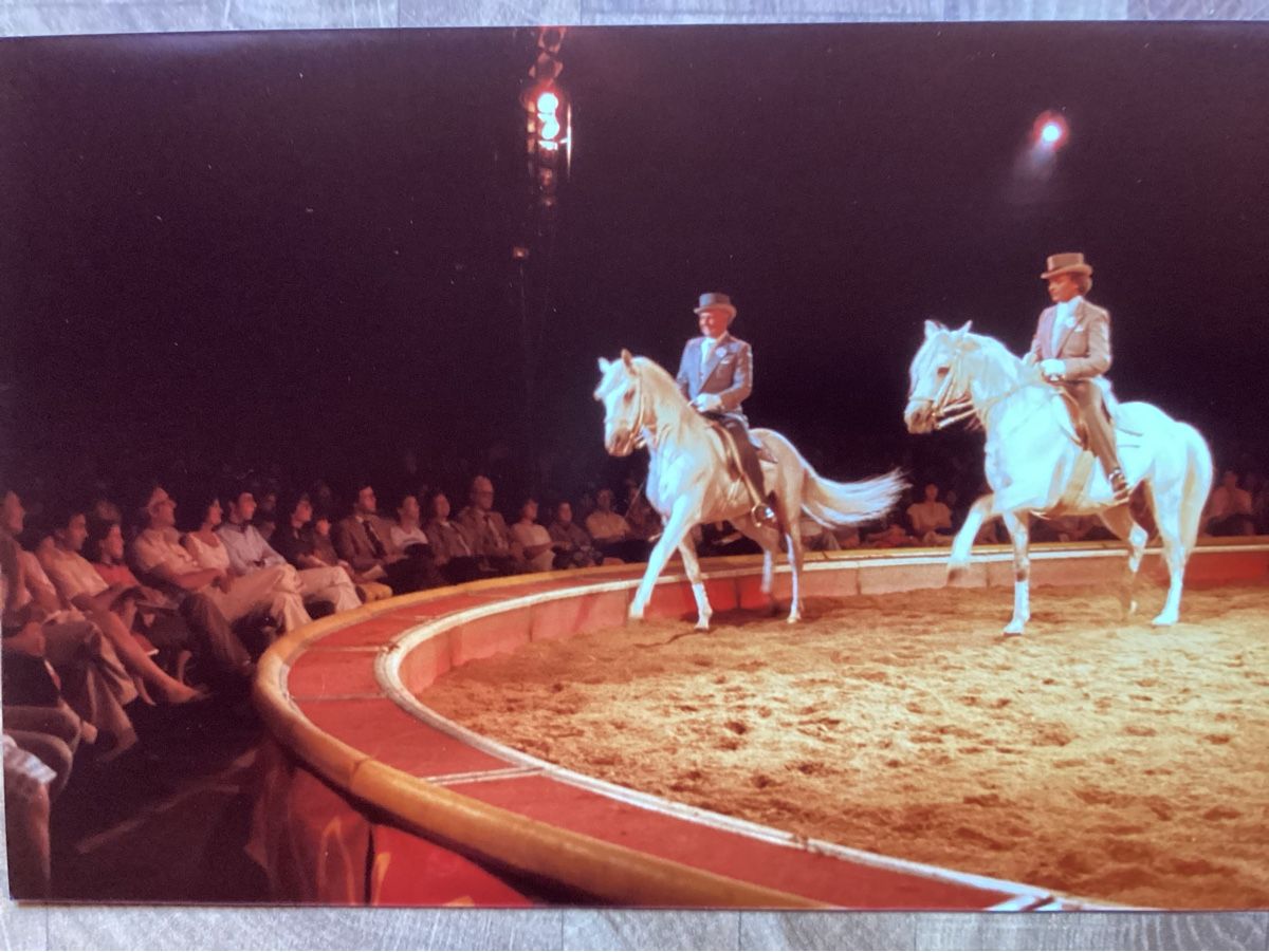 Foto & Immagini: Circus Knie Foto 1984 – Usato da Reichenbach i. K. venduto da astra2010