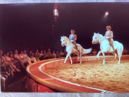 Circus Knie Foto 1984
