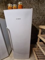 Bosch Gefrierschrank ❄️Top Zustand für Ihre Vorräte!