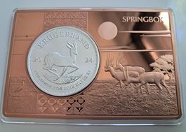 1 OZ Silber Krügerrand 2024 in 3 OZ Münzbarren