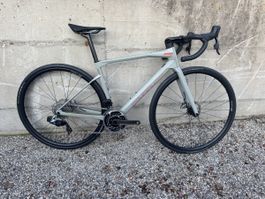 BMC Roadmachine 51/Grösse S