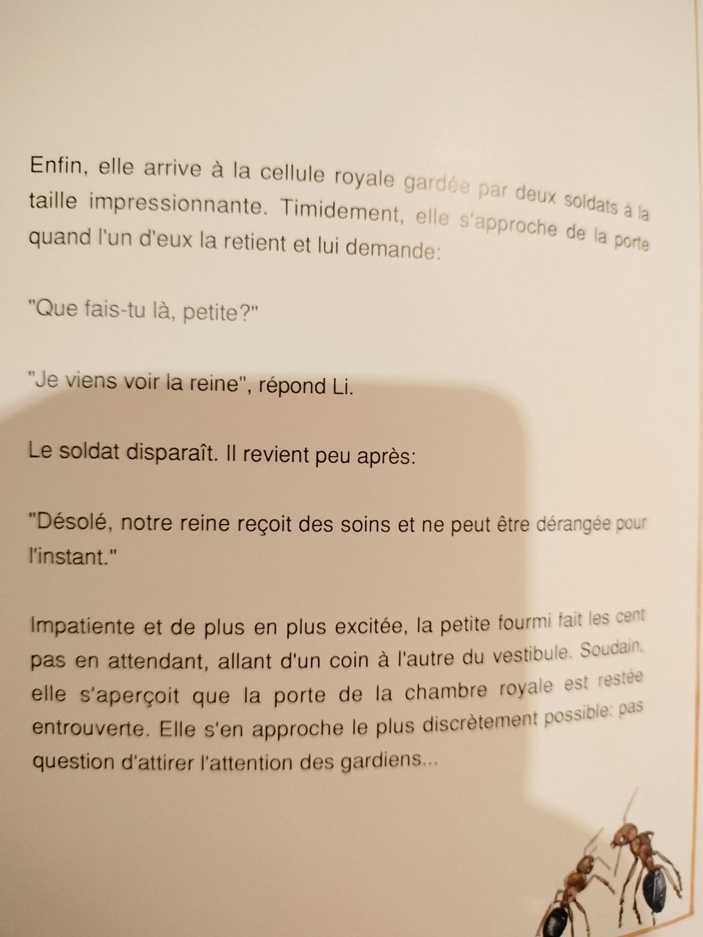 Bücher: La Fourmi ailée Dominique Grisoni – Gebraucht aus Cortaillod von rozinna 4