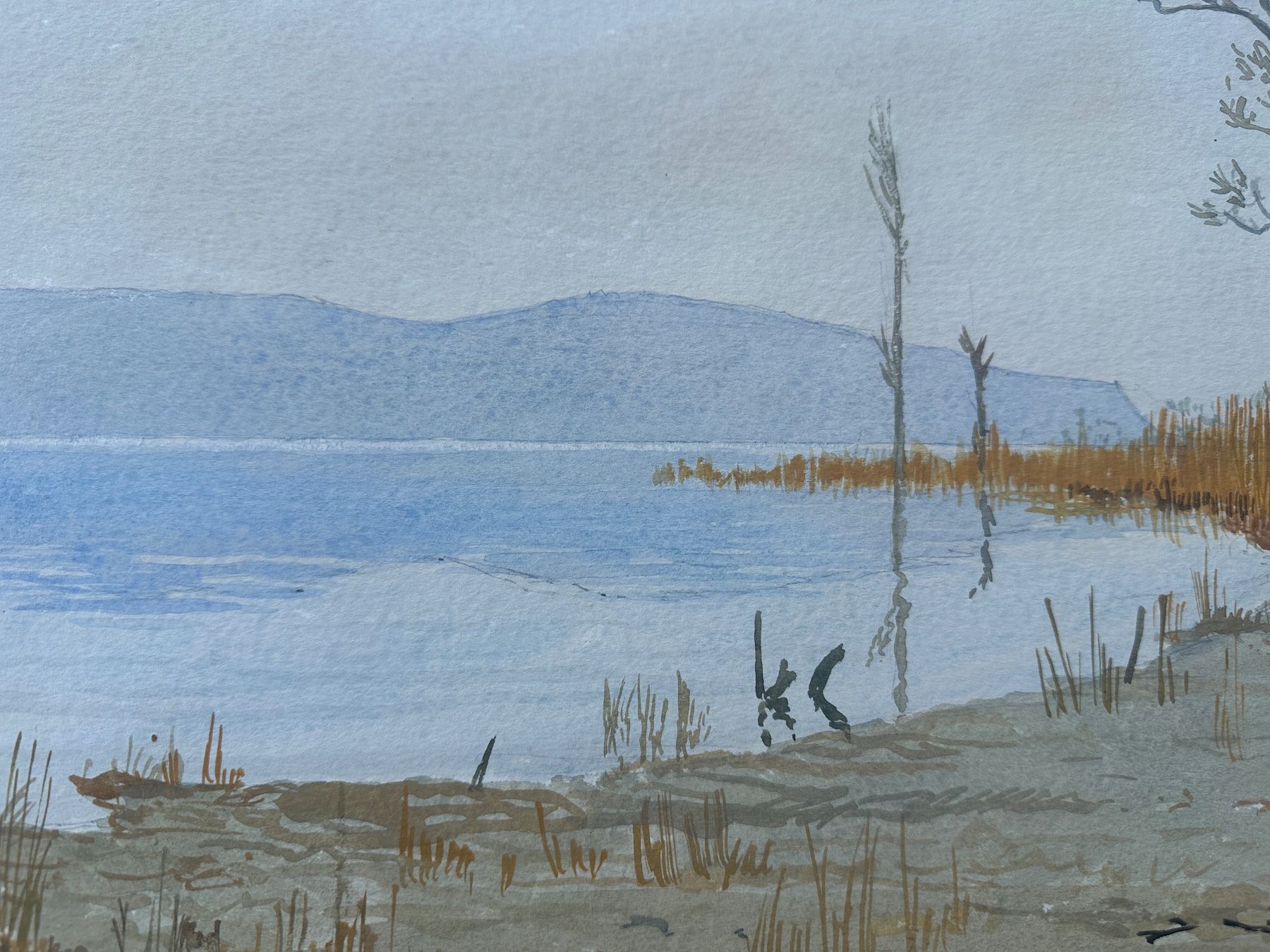 Dipinti: Aquarell von Armin Colombi – Usato da Zürich venduto da frauflufelberg 5