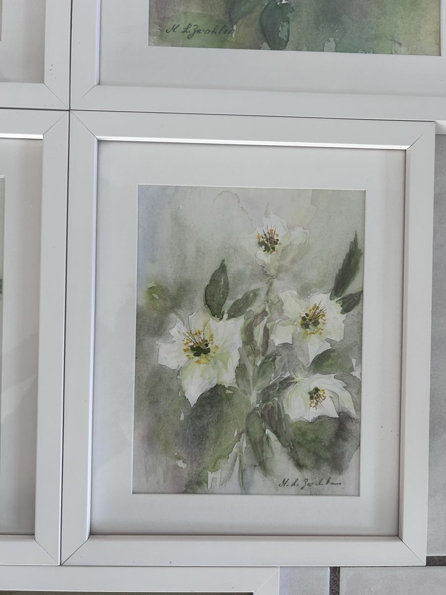 Dipinti: 5 Aquarellbilder / Malerei Blumen – Usato da Solothurn venduto da dbmd333 4