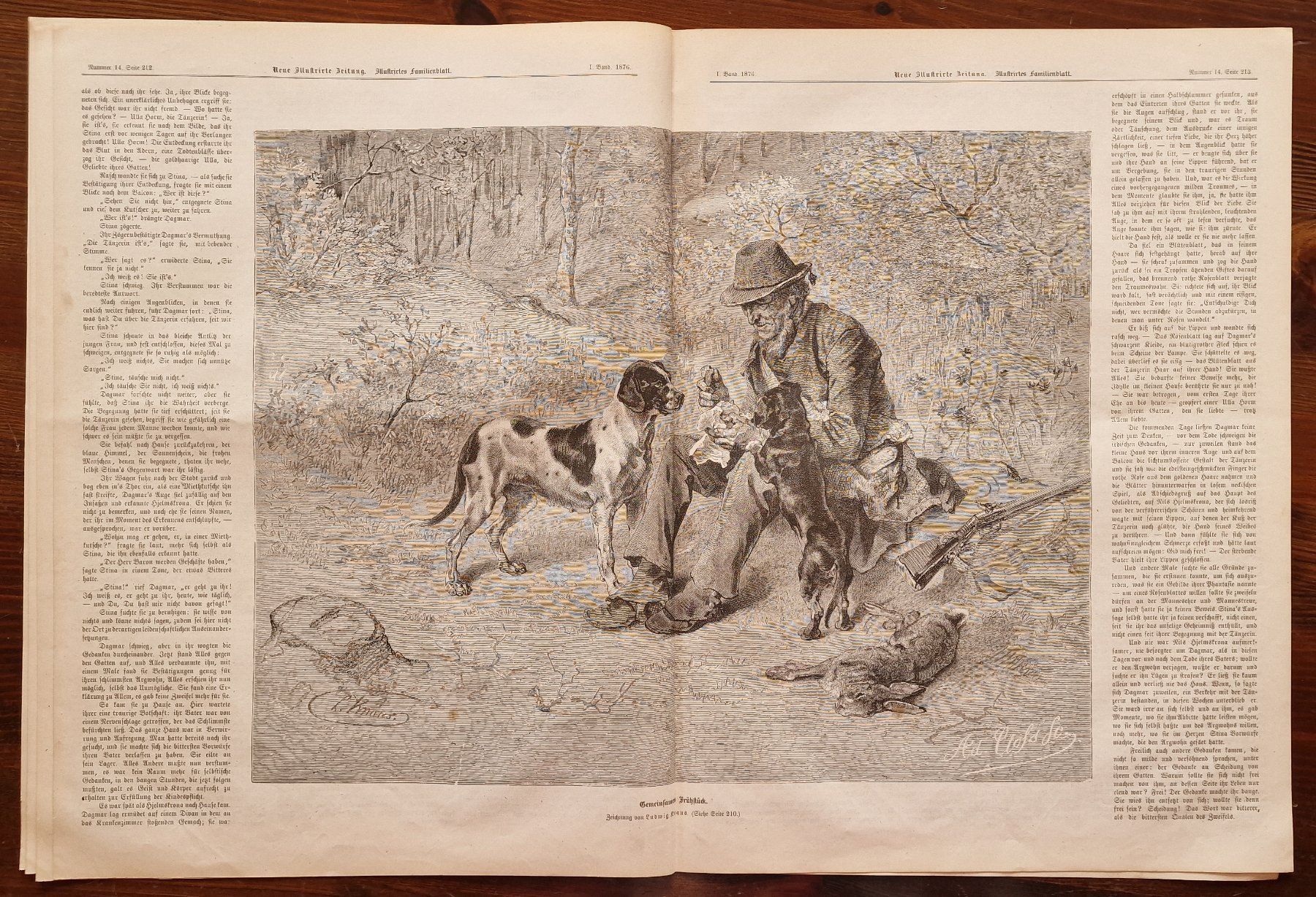 Incisioni: Giessbachfall  -  Brienz  -  Berner Oberland   -   1876 – Usato da Röthenbach i. E. venduto da Heureka5 8