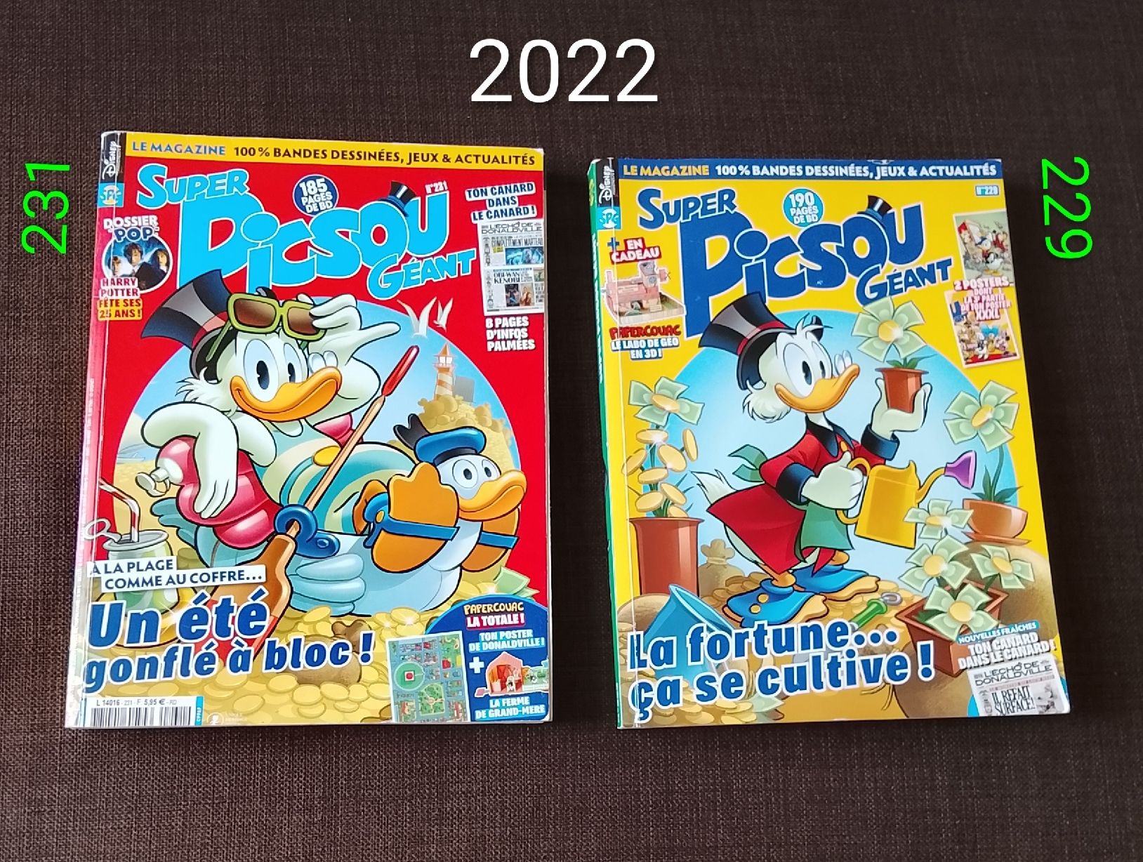 Fumetti: Super Picsou Géant magazines lot 2010-2022 – Usato da Couvet venduto da fat_kyl7 3