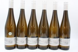 6x SPIEZER Souvignier Gris 2025 Weisswein (26071064Z)