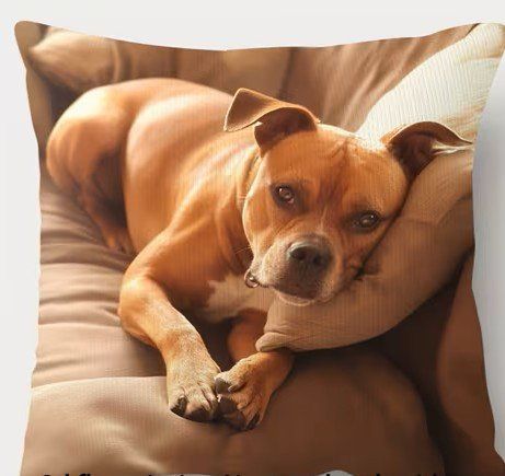 Kissen: Housse de Coussin 45 x 45cm – Neu und originalverpackt aus Tolochenaz von nieeva