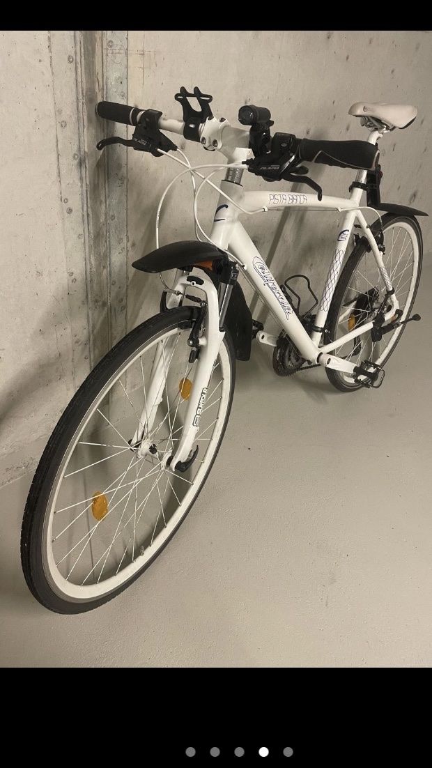 Biciclette: Citybike – Usato da Windisch venduto da sri_lk9d 2