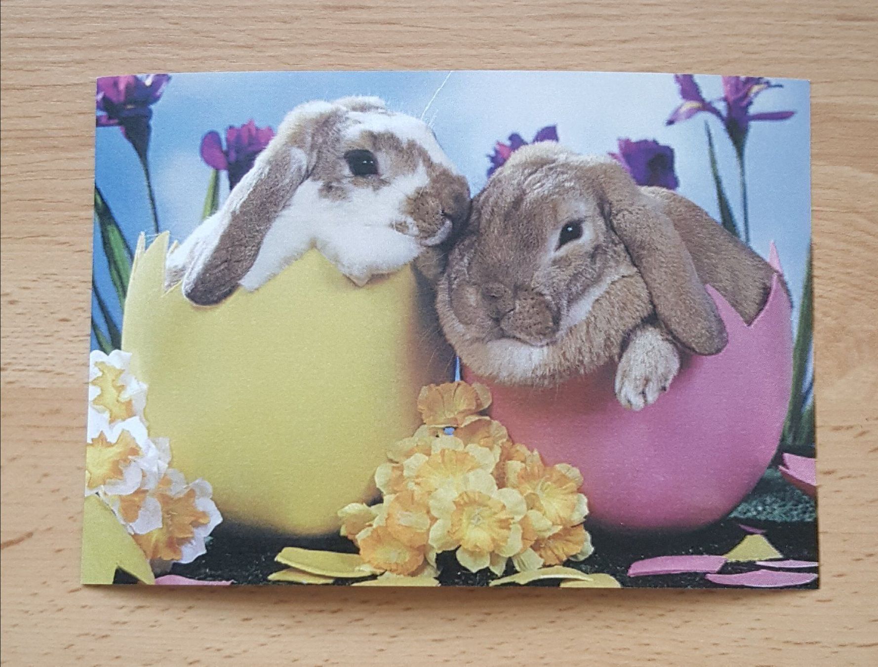 Cartoline: 3 Osterkarten mit Kuvert - Ostergrüsse – Nuovo (secondo la descrizione) da Leimbach TG venduto da manu-tg 1