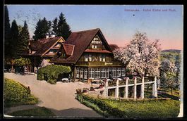 AK Immensee, Hotel Eiche und Post